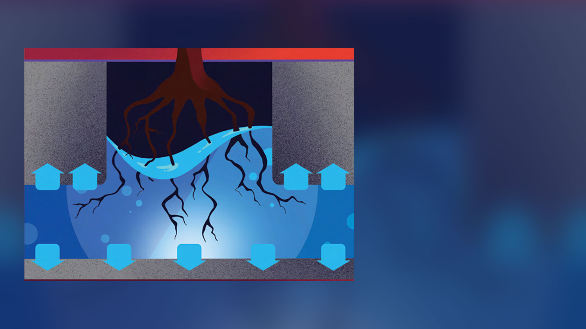 A graphic depicts an underground tree trench filled with water halfway up some tree roots while blue arrows point up and down around the water.