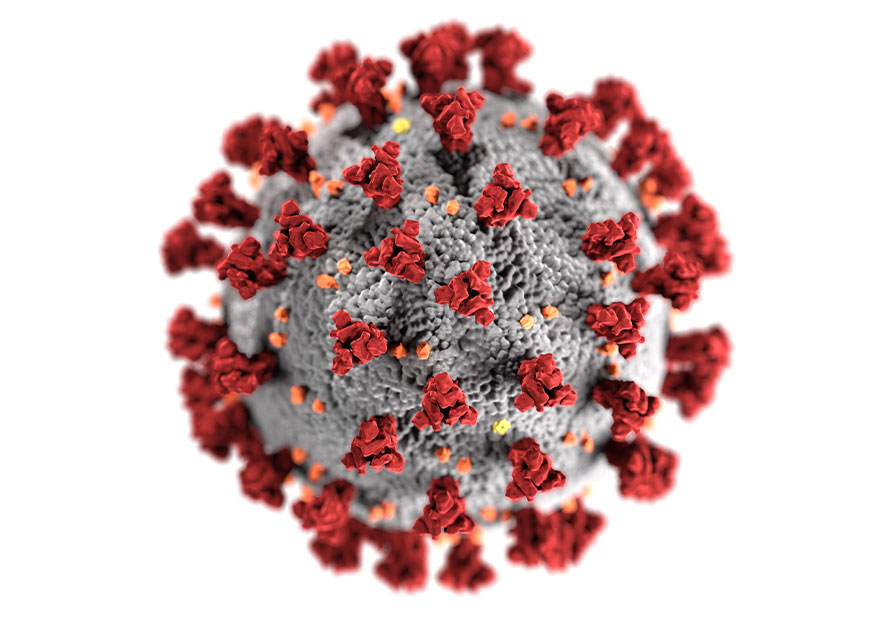 Rendering of a red and white flower petals of a virus (Credit: Photo by CDC on Unsplash)