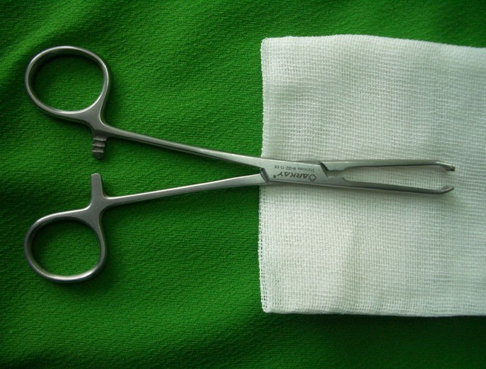 Photo of Allis forceps or clamps.