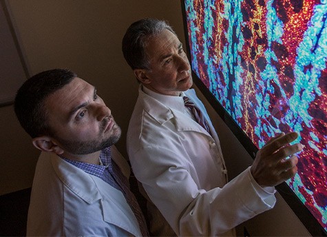 Dr. Snook and Dr. Waldman stand together in white lab coats as they examine a large, colorful image of a human gut on a screen. (Credit: Kevin Monko)
